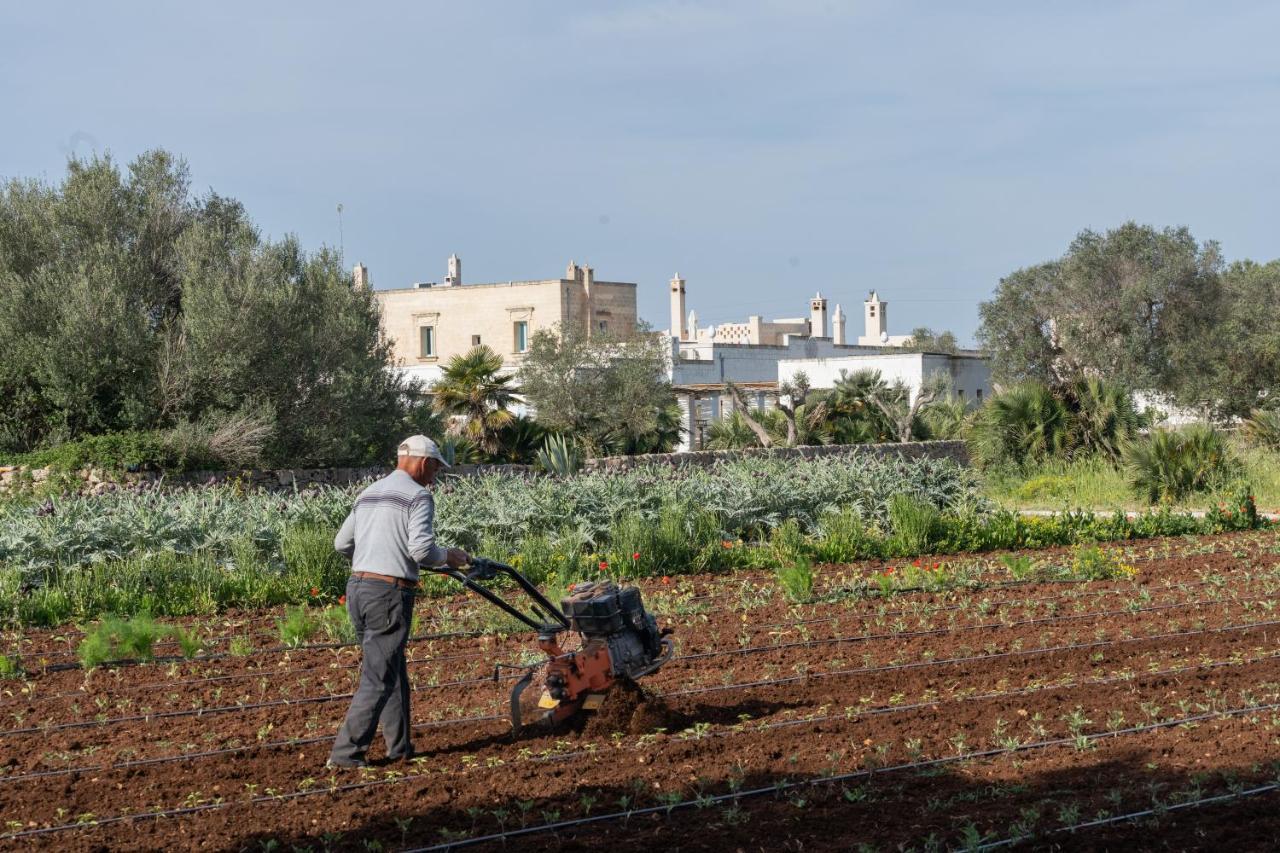 Masseria Palombara Relais & Spa - Adults Only Manduria Exterior photo